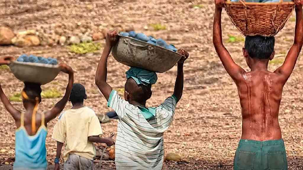 Trabalho infantil: mais de 6 mil crianças foram resgatadas em dois anos | Cerca de 86% dos casos envolviam as piores formas de trabalho com risco à saúde